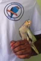 /album/cria%c3%a7%c3%a3o/dsc04732-jpg/