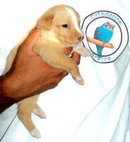 /album/cria%c3%a7%c3%a3o/dsc04865-jpg/