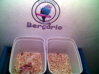 /album/cria%c3%a7%c3%a3o/a0111-234751-jpg/